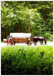 Filmagem para documentário sobre cultura Romani