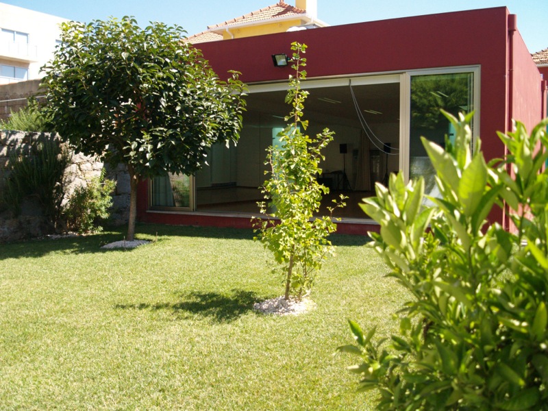 LEITURAS AVULSAS: O&nbsp;Bailarico